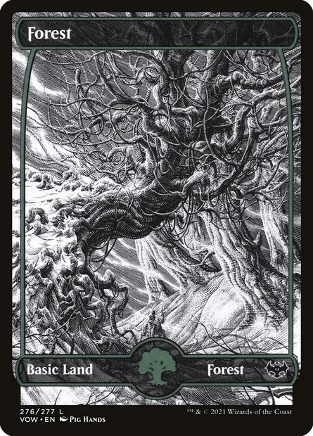 Forest, Magic card VOW 276 — Innistrad: Crimson Vow set