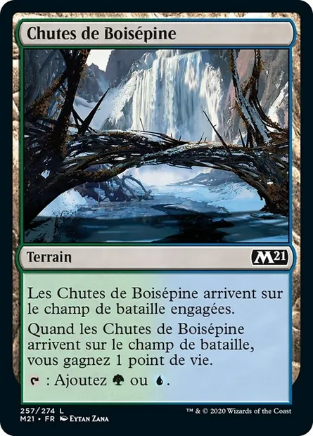 Chutes de Boisépine, carte Magic M21 257 — extension Core Set 2021
