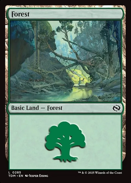 Forest, Magic card TDM 285 — Tarkir: Dragonstorm set
