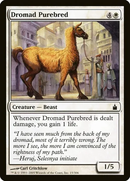 Dromade de race, carte Magic RAV 15 — extension Ravnica: La Cité des Guildes