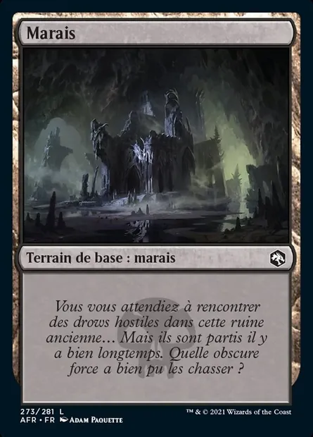 Marais, carte Magic AFR 273 — extension Forgotten Realms: Aventures dans les Royaumes Oubliés