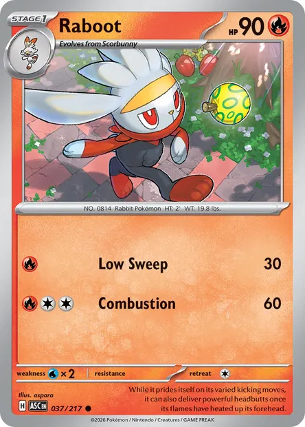Raboot, Pokémon card ASC 037 — Ascended Heroes set