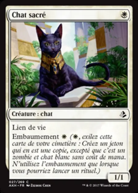Chat sacré, carte Magic AKH 27 — extension Amonkhet