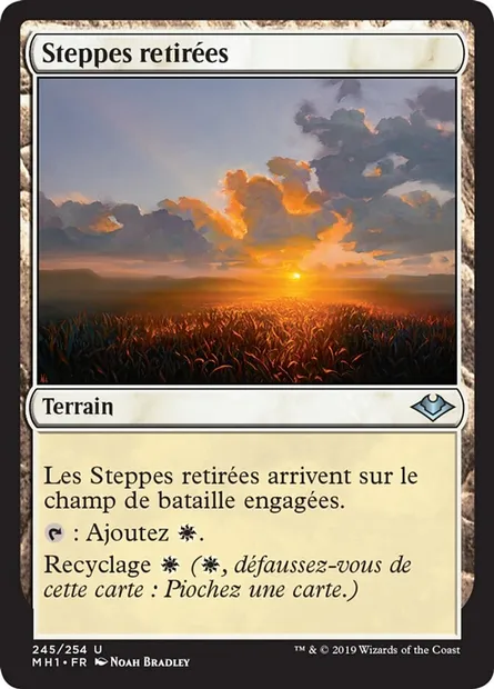 Steppes retirées, carte Magic MH1 245 — extension Horizons du Modern