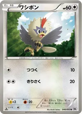 Rufflet, Pokémon card BW1B 046 — White Collection set