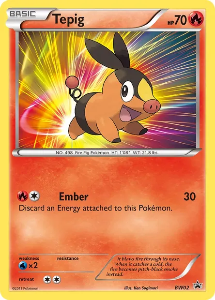 Tepig, Pokémon card BW 02 — BW Black Star Promos set