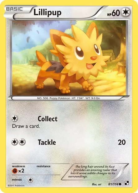 Lillipup, Pokémon card BLW 81 — Black & White set