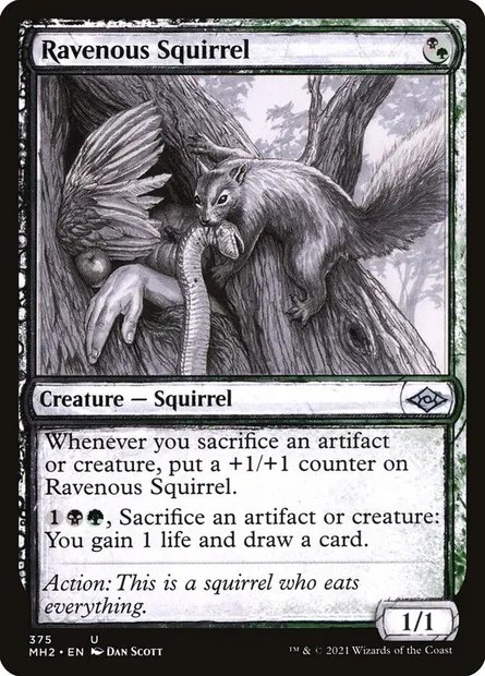 Ravenous Squirrel, Magic card MH2 375 — Modern Horizons 2 set