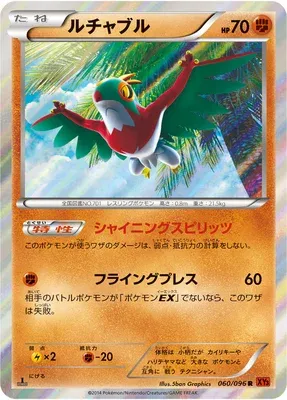 Brutalibré, carte Pokémon XY3 060 — extension Rising Fist