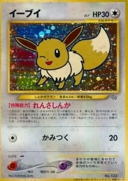 Évoli, carte Pokémon UNP ct247204 — extension Unnumbered Promos