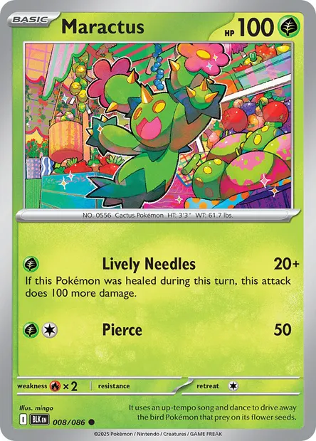 Maractus, Pokémon card BLK 008 — Black Bolt set