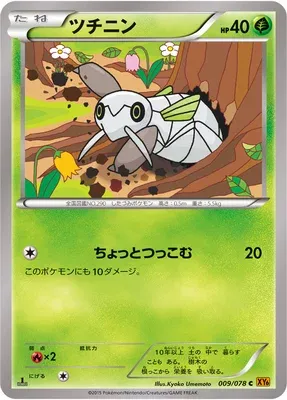 Nincada, Pokémon card XY6 009 — Emerald Break set
