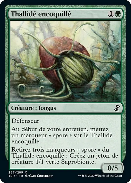Thallidé encoquillé, carte Magic TSR 237 — extension Spirale Temporelle Remastered