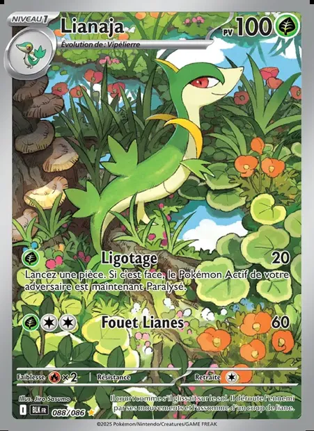 Lianaja, carte Pokémon BLK 088 — extension Foudre Noire