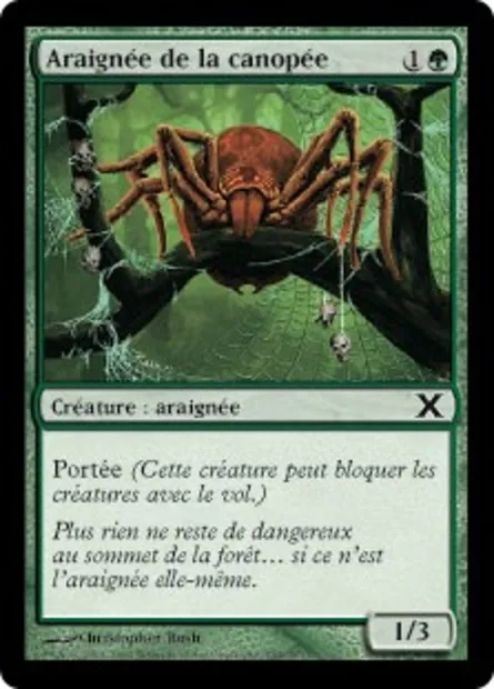 Araignée de la canopée, carte Magic 10E 254 — extension Dixième édition