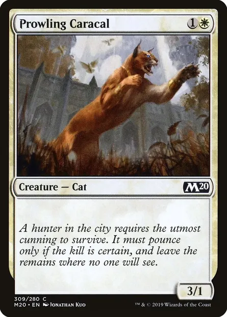 Prowling Caracal, Magic card M20 309 — Core Set 2020 set