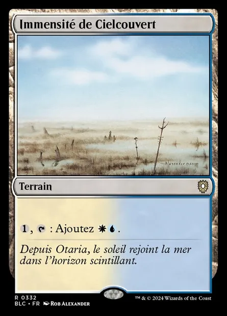 Immensité de Cielcouvert, carte Magic BLC 332 — extension Bloomburrow Commander