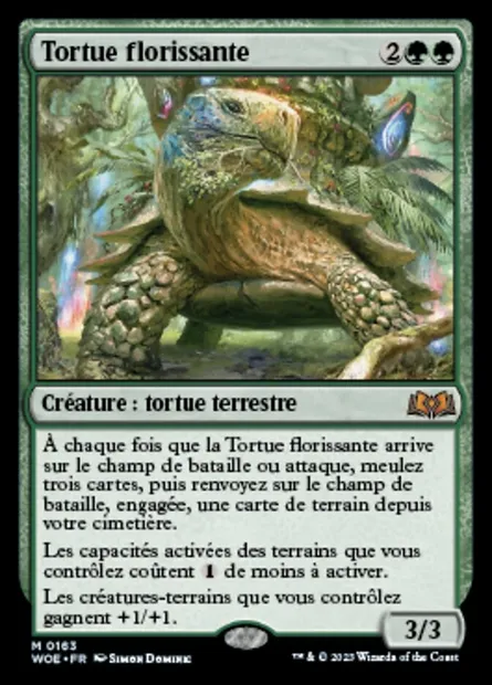 Tortue florissante, carte Magic WOE 163 — extension Wilds of Eldraine
