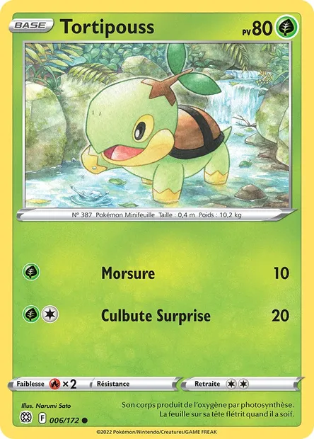 Tortipouss, carte Pokémon BRS 006 — extension Stars Étincelantes