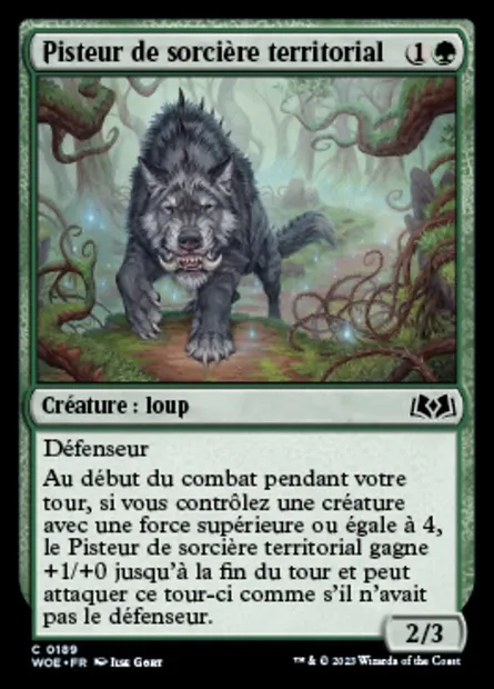 Pisteur de sorcière territorial, carte Magic WOE 189 — extension Wilds of Eldraine