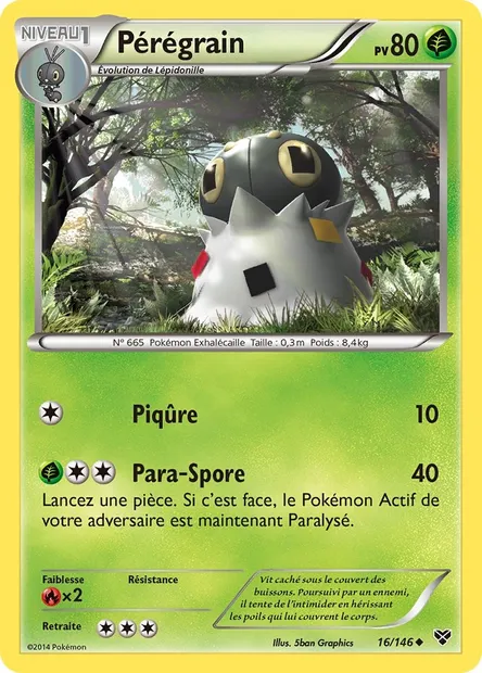 Pérégrain, carte Pokémon XY 16 — extension XY