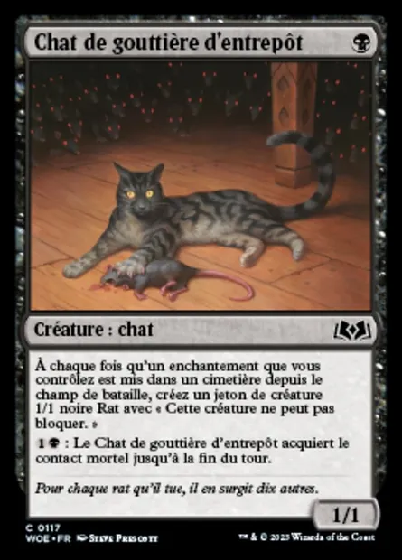 Chat de gouttière d'entrepôt, carte Magic WOE 117 — extension Wilds of Eldraine