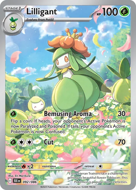 Lilligant, Pokémon card BLK 092 — Black Bolt set