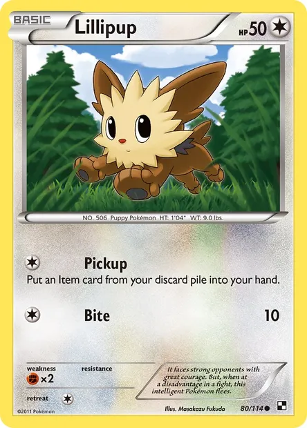 Lillipup, Pokémon card BLW 80 — Black & White set