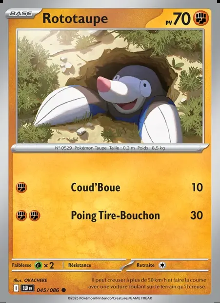 Rototaupe, carte Pokémon BLK 045 — extension Foudre Noire