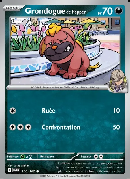 Grondogue de Pepper, carte Pokémon DRI 138 — extension Rivalités Destinées