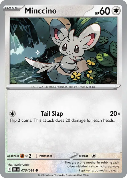 Minccino, Pokémon card BLK 075 — Black Bolt set