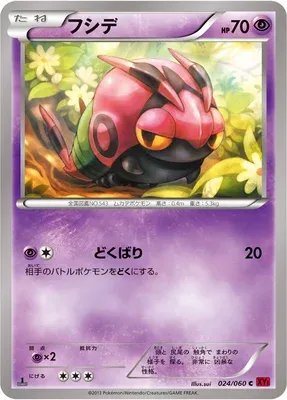 Venipede, Pokémon card XY1B 024 — Collection Y set