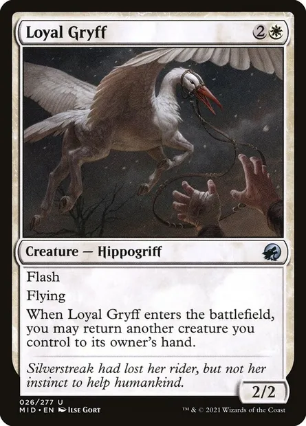 Loyal Gryff, Magic card MID 26 — Innistrad: Midnight Hunt set