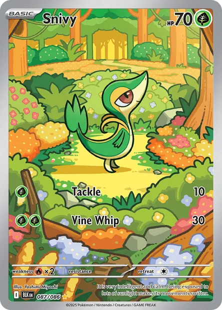 Snivy, Pokémon card BLK 087 — Black Bolt set