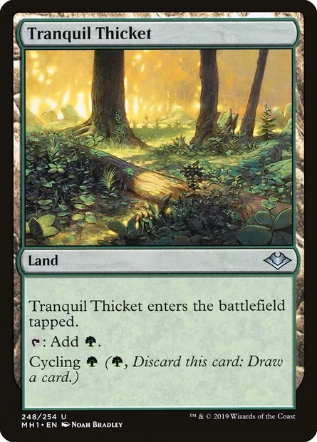 Tranquil Thicket, Magic card MH1 248 — Modern Horizons set