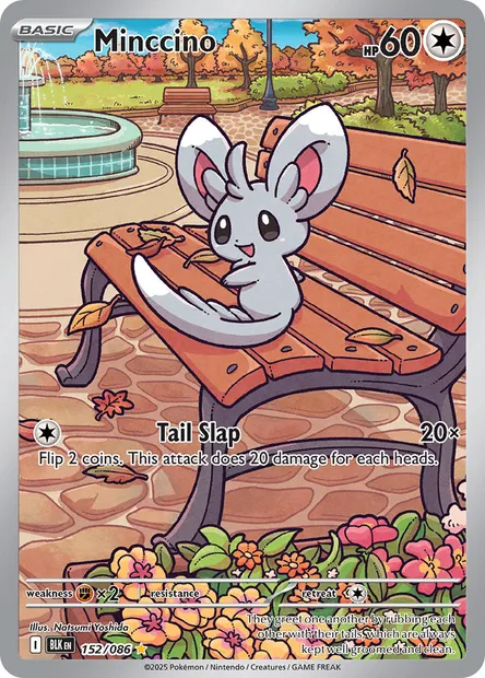 Minccino, Pokémon card BLK 152 — Black Bolt set