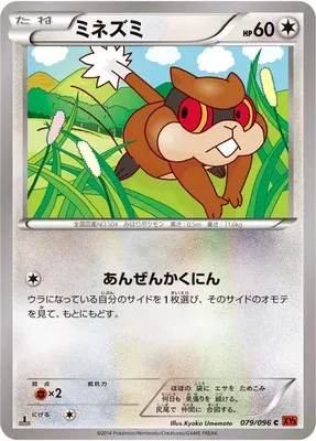 Patrat, Pokémon card XY3 079 — Rising Fist set