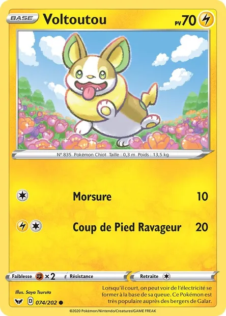 Voltoutou, carte Pokémon SSH 74 — extension Épée et Bouclier