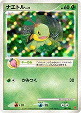 Turtwig Lv.9, Pokémon card PPP 001 — PPP Promos set