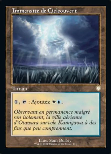 Immensité de Cielcouvert, carte Magic BRC 201 — extension The Brothers' War Commander