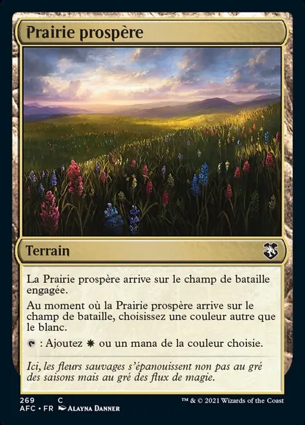 Prairie prospère, carte Magic AFC 269 — extension Forgotten Realms Commander