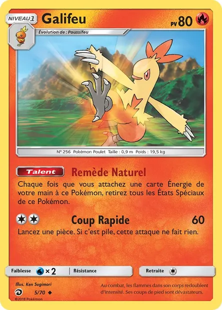 Galifeu, carte Pokémon DRM 5 — extension Majesté Des Dragons