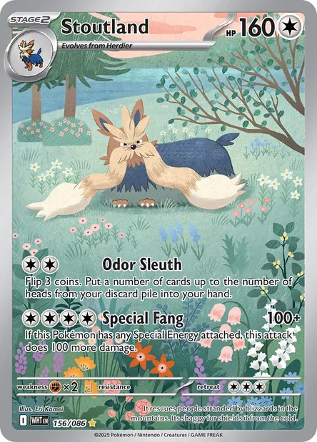 Stoutland, Pokémon card WHT 156 — White Flare set