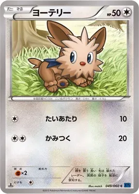 Lillipup, Pokémon card XY1A 049 — Collection X set