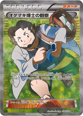 Professor Birch's Observations, Pokémon card XY5B 078 — Tidal Storm set