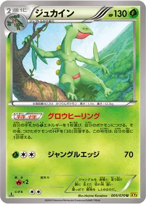 Sceptile, Pokémon card XY5A 005 — Gaia Volcano set