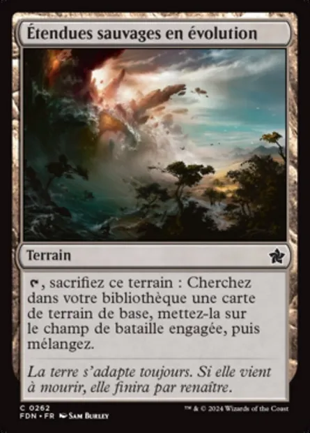 Étendues sauvages en évolution, carte Magic FDN 262 — extension Foundations