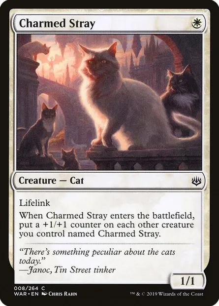 Charmed Stray, Magic card WAR 8 — War of the Spark set