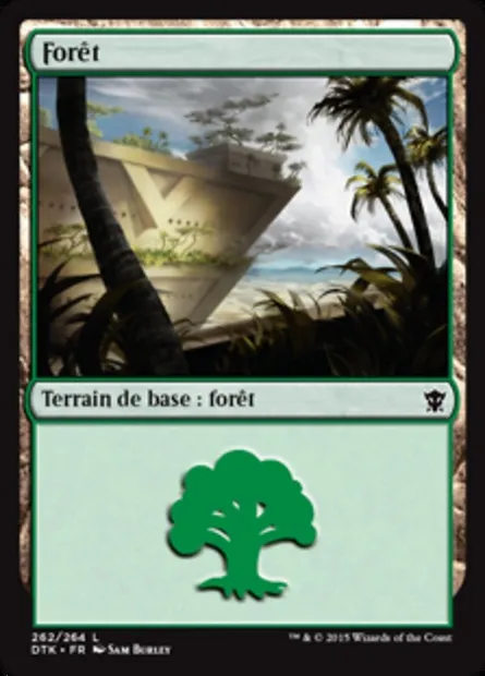 forêt, carte Magic DTK 262 — extension Les Dragons de Tarkir