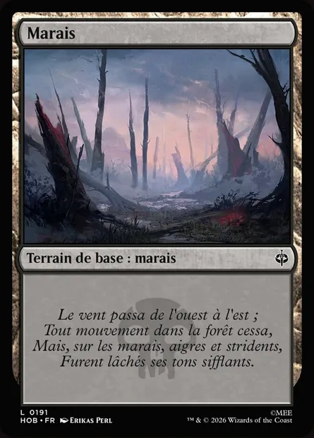 Marais, carte Magic HOB 191 — extension The Hobbit